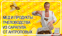 Мед от пчеловода