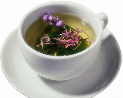 Чашка чая с травой кипреем