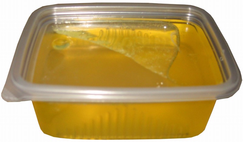 Мёд в пластиковом контейнере на белом фоне