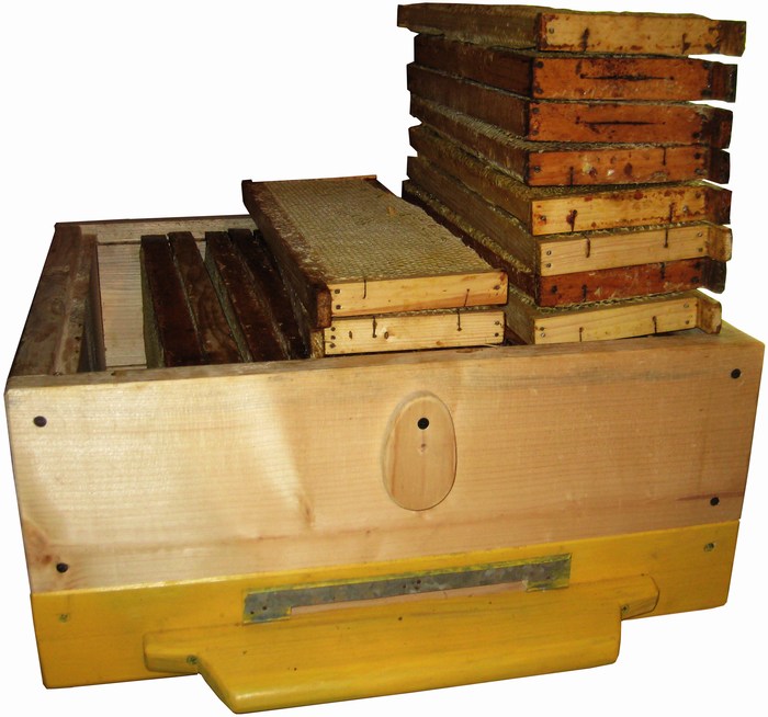 Рамки пчеловодные на пасеке