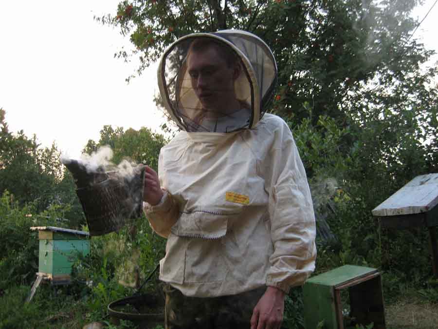 Начинающий пчеловод с дымарём на пасеке